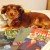 My dog Justing, posing with some of my books.