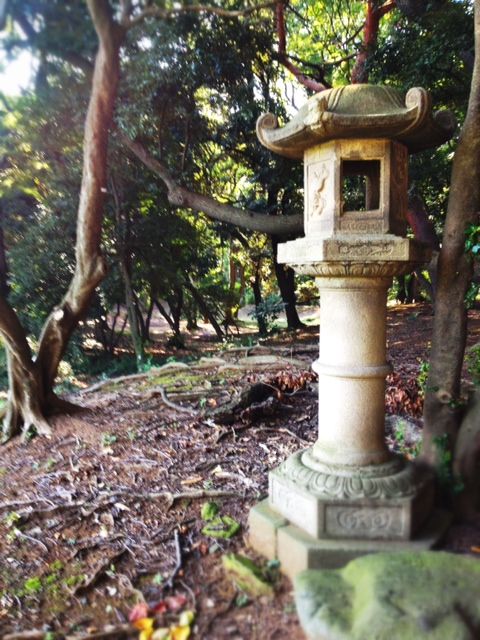 The Japanese gardens is one of the most beautiful areas of the park.