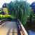 Walk across the Japanese bridge and have a chat with the Japanese carps, turtles and ducks.