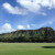 The view of Diamond Head from Kapiolani Park.