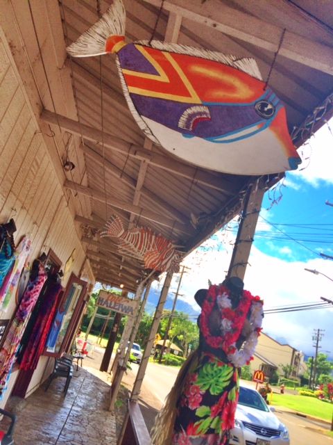 Haleiwa has an old-time feel to it with organic restaurants, small grocery stores and art galleries.