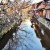 Traditional tea houses line the stream.