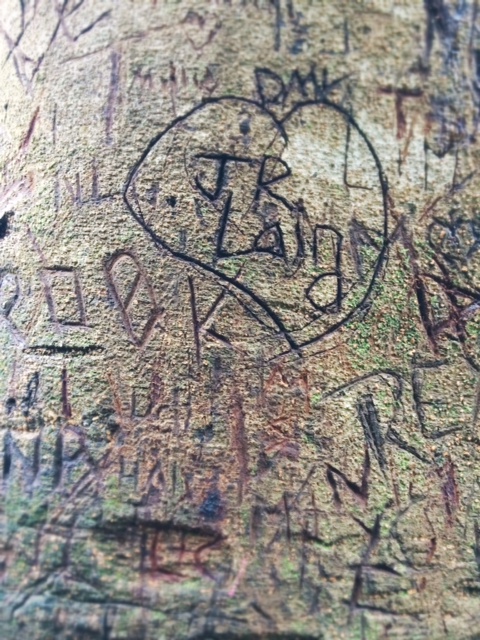 More graffiti can be found along the walk.