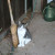 Gardin th bruhm Gardin th bruhm