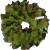 Magnolia Arbavida Mixed Wreath Magnolia Arbavida Mixed Wreath