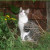 Checkin Treez 2 seez whch to clime Checkin Treez 2 seez whch to clime