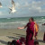 While some monks went swimming others had fun feeding the seagulls While some monks went swimming others had fun feeding the seagulls