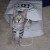 Her favorite thing is paper bags. No matter how many toys I buy for her, that is what she wants to play with. Her favorite thing is paper bags. No matter how many toys I buy for her, that is what she wants to play with.