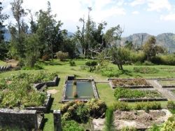 Cinchona Botanical Gardens
