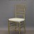 Gold Chiavari chair. This one's got a white pad, but most places that rent Chiavaris have different pads you can choose, or you don't have to go with a pad at all. Chiavaris with the pads rent for $5-10 and a lot of places will not let you use them o Gold Chiavari chair. This one's got a white pad, but most places that rent Chiavaris have different pads you can choose, or you don't have to go with a pad at all. Chiavaris with the pads rent for $5-10 and a lot of places will not let you use them o