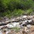 Waterfalls in gallant speed after heavy rains and snowfall, covering up the rocks,
splashing with glee. Waterfalls in gallant speed after heavy rains and snowfall, covering up the rocks, splashing with glee.