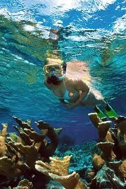bonaire-snorkeling.jpg