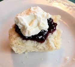 Half-eaten scone - yummy with cream and jam!