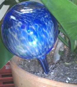 Beautiful Water Globes for Plants