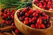 Cranberries at the First  US Thanksgiving