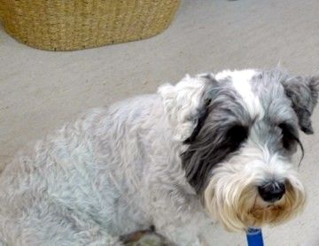 I'm waiting for my pat! I'm waiting for my pat!