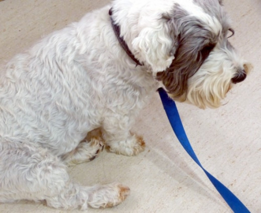 That's enough now. Leave some for someone else. That's enough now. Leave some for someone else.