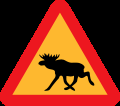 Moose Warning