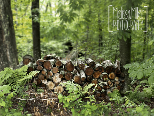 Wood burning stoves and fireplaces are common in Vermont. I have stacked a TON of wood in my day.