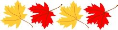 Maple Leaves by Lee Hansen Graphics