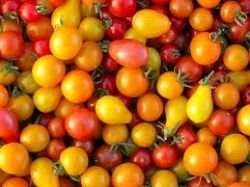 tomato, cherry tomato, healthy snack, fast snack, vegetable