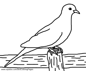 Dove Coloring Pages