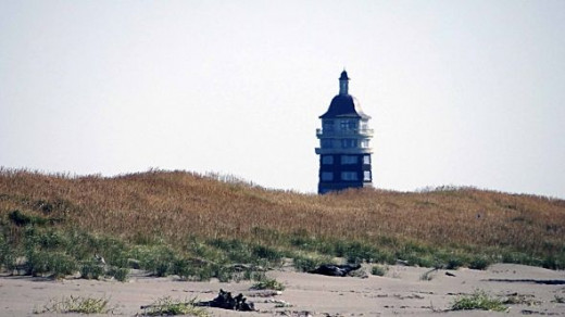 Lighthouse at Ledbetter Point State Park