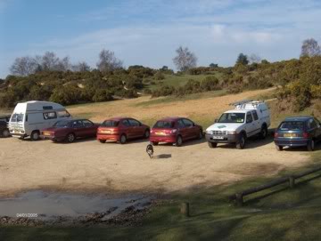 A New Forest car park