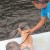 Teddy (with the help of Trainer Linda) checks out the dolphins. Teddy (with the help of Trainer Linda) checks out the dolphins.