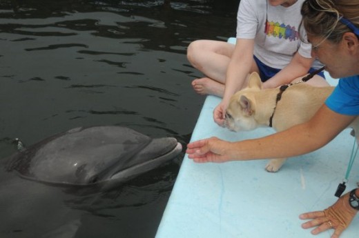 Linda asks Kibby if he'd like some fish.