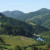 Tara National Park, Serbia Tara National Park, Serbia