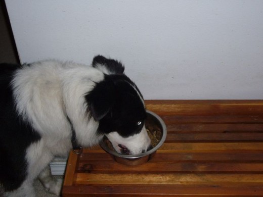 7am - Breakfast Time