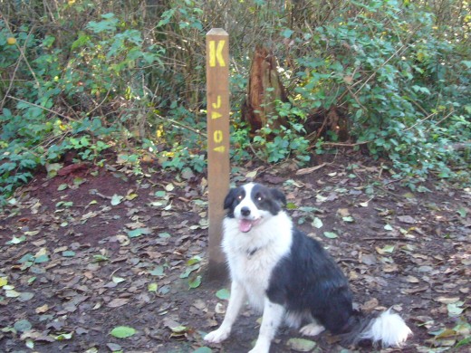 Tim sitting by one of the trail marker posts