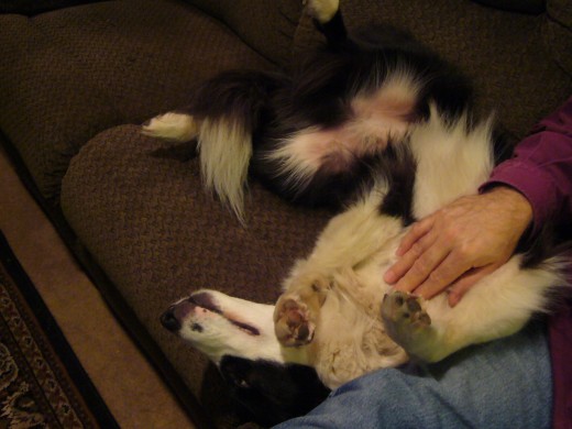 4pm - Sleeping snuggled up next to Dad on the sofa