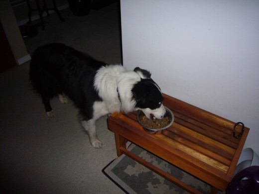 7 pm - Tim enjoying his dinner