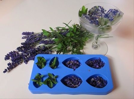 Lavender and Mint Ice Cubes
