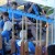 Victoria's "MS Warriors" dragon boat team quietly awaits their participation in the first event featuring IDBF-certified racing hulls on Vancouver Island. Victoria's "MS Warriors" dragon boat team quietly awaits their participation in the first event featuring IDBF-certified racing hulls on Vancouver Island.