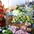 Local Girl Produce Vendor at Farmer's Market