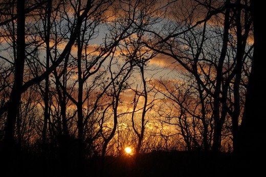 An evening stroll at sunset