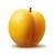 APRICOT APRICOT