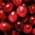 CRANBERRY CRANBERRY