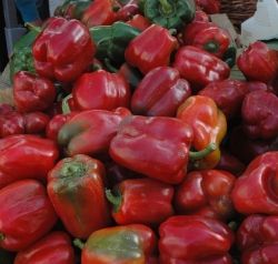 Bright red peppers are bountiful at the farmers market.