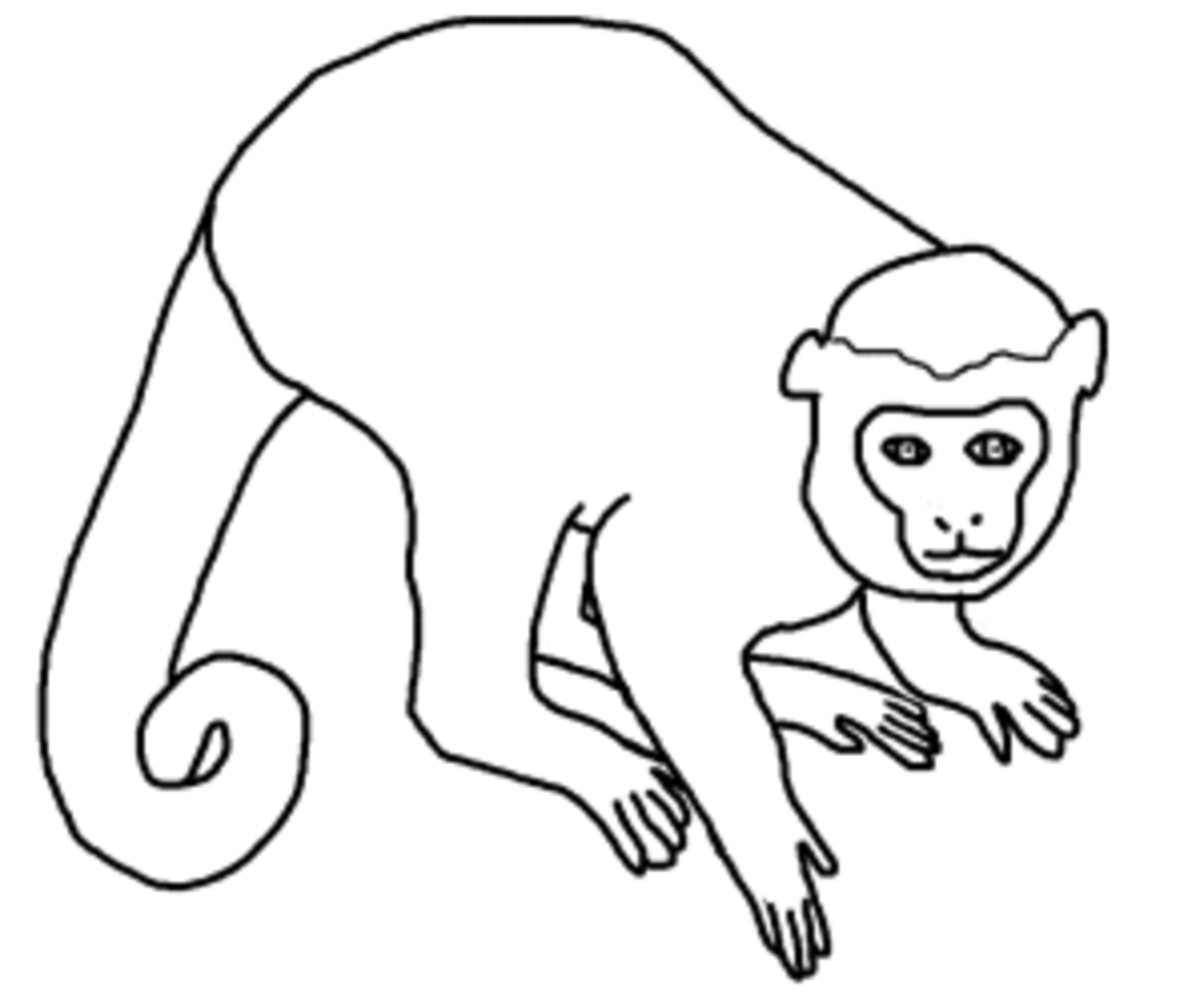 Jungle Coloring Pages | HubPages
