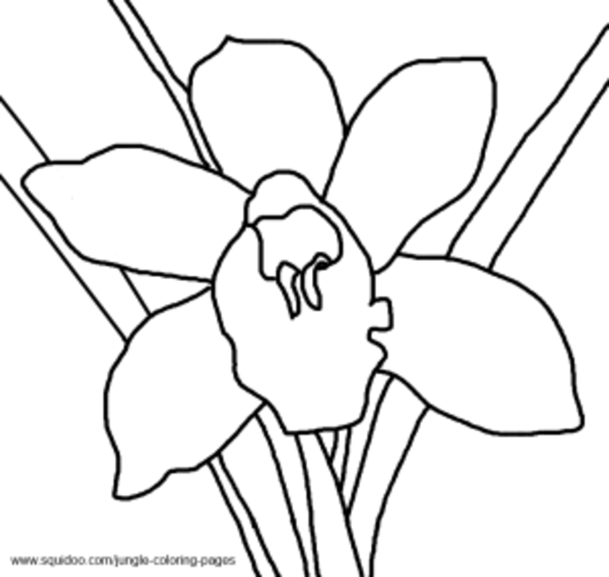 Jungle Coloring Pages | HubPages