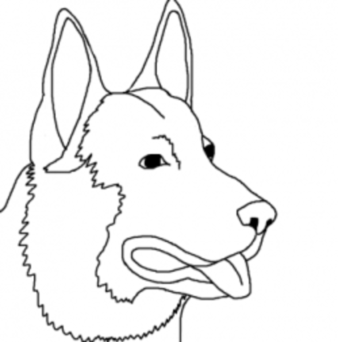 Download Dog Breed Coloring Pages | HubPages