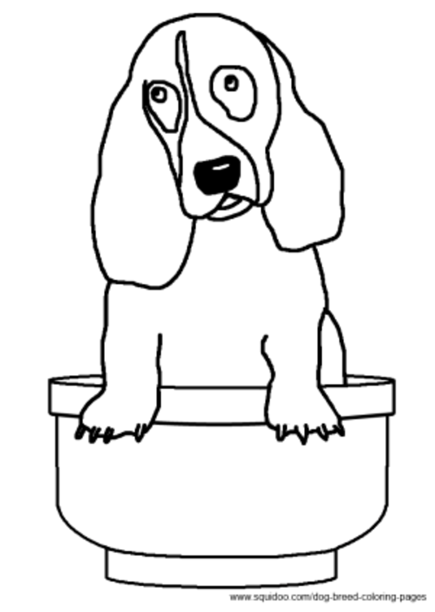 Download Dog Breed Coloring Pages | HubPages