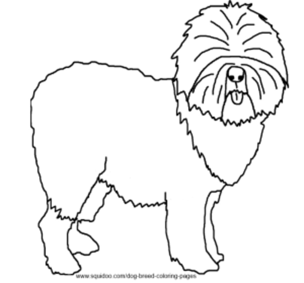 Dog Breed Coloring Pages   HubPages