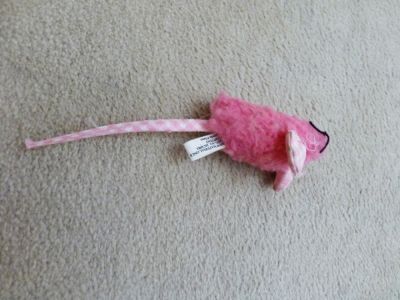 My favorite pink ratty mouse