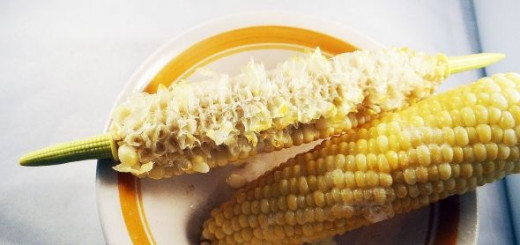 sweet corn on the cob - after