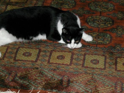 Taking it easy.